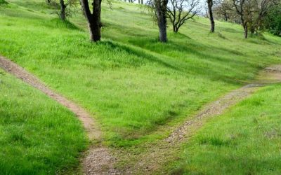 5 “fun” things to do in the Tarn!