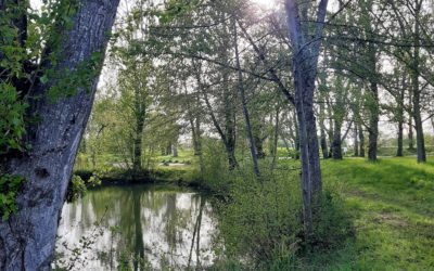 The benefits of connecting with nature