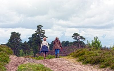 Why is hiking good for your health ?