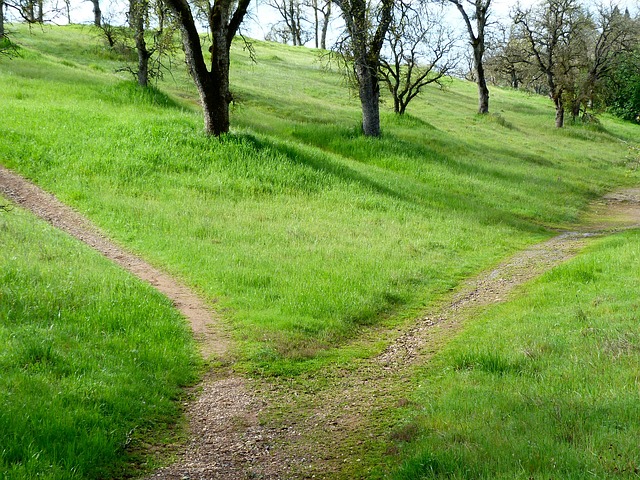 balade en campagne