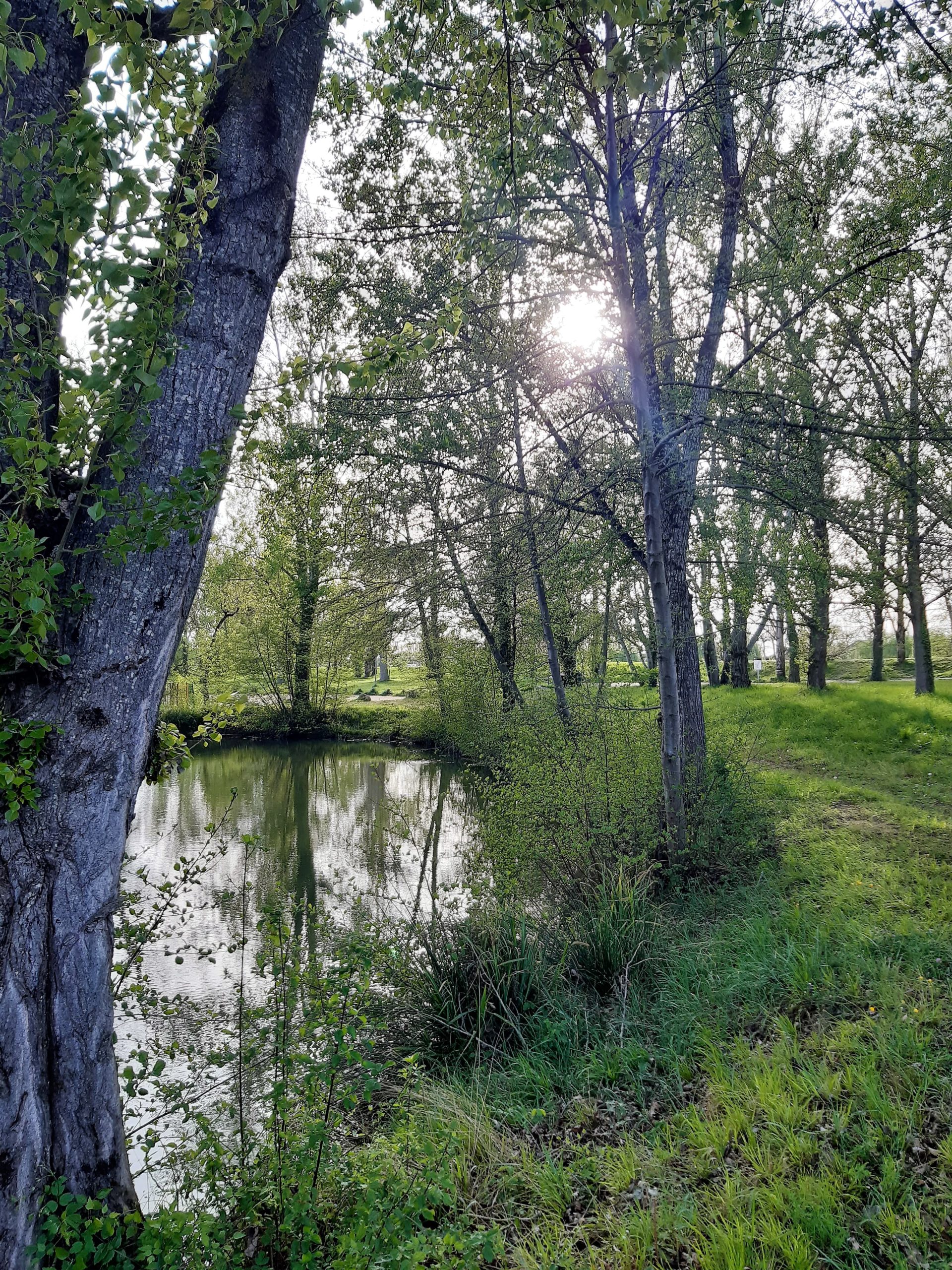 Les bienfaits de la connexion avec la nature 