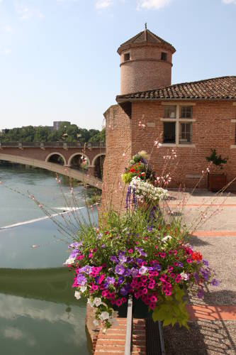 l'Abbaye St Michel Gaillac Laurent Frezouls