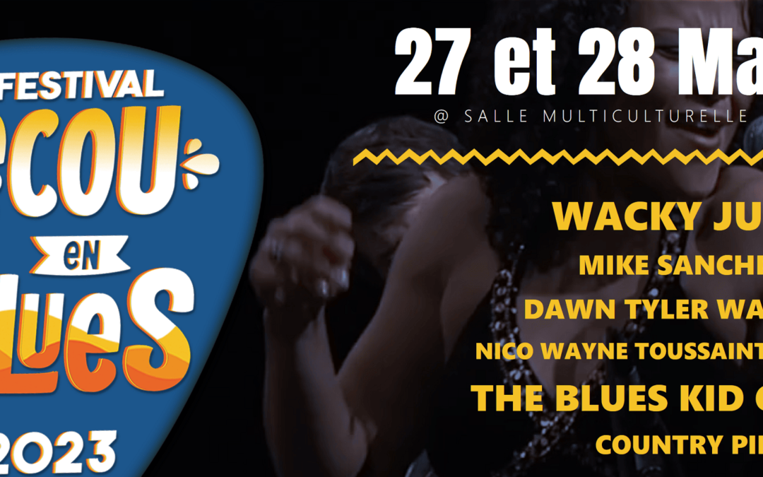 Técou en Blues : Festival incontournable en Toscane Occitane