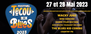 festival de blues proche des Cottages du Tarn, à Técou en Toscane Occitane