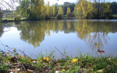 Séjour à la campagne dans des meublés de tourisme