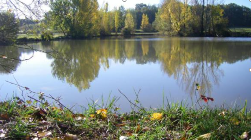 Séjour à la campagne dans des meublés de tourisme