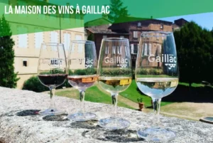 Maison des vins a Gaillac Cottages Brens