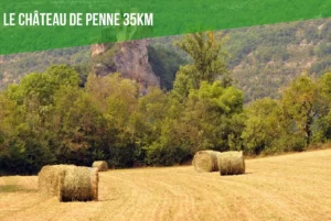 Chateau de Penne Cottages Brens 35km des cottages du tarn brens