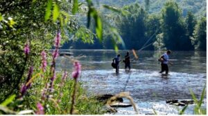 Lisle sur tarn randonnees