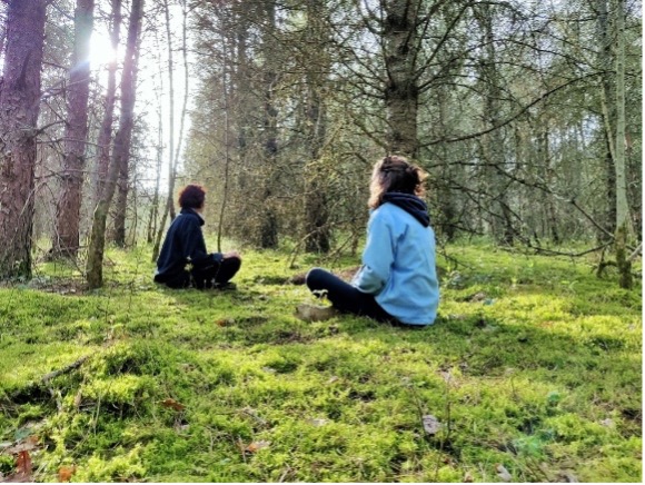 Detente en nature cottages du Tarn