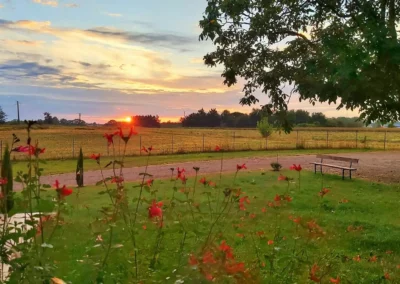 Exterieur couche de soleil Cottage Primeur vacance campagne nature