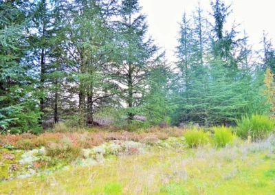 Paysage Grand Cottage Nature Bien Etre Location maison campagne