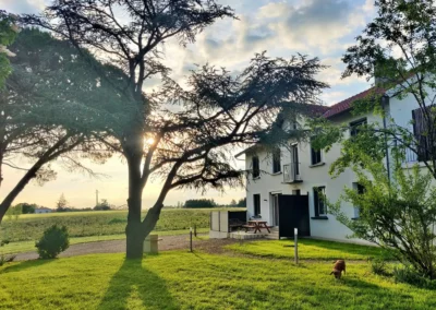 Exterieur Cottage Nature Vigne Rouge location airbnb gite