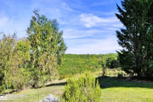 Garden Grand Cottage Nature Wellbeing vacation airbnb