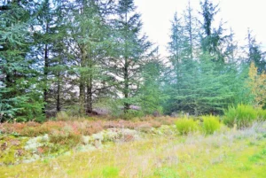 Landscape Grand Cottage Nature Wellbeing Country house rental
