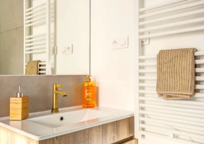 Master bedroom with queen-size bed, walk-in closet and en-suite shower room