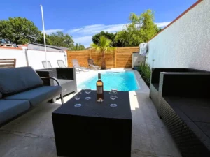 Family gîte with pool and palm tree near Albi