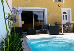 Family gîte with pool and palm tree near Albi