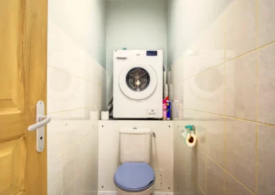 Toilets with washing machine