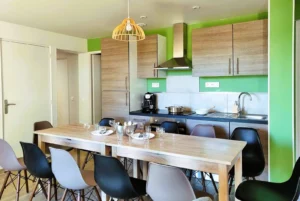 Salon Duo Red Vine and Primeur house rental Tarn