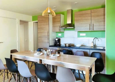 Salon Duo Red Vine and Primeur house rental Tarn