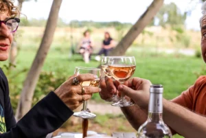 Apero barbecue Terrace Cottage Primeur vacations countryside Tarn