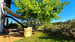 exterieur primeur gite tarn