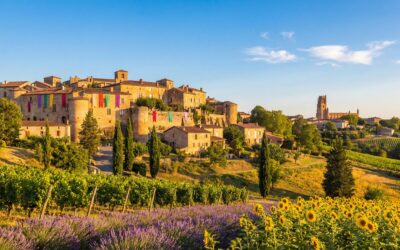 What to Do in Tarn in Summer? Complete Guide July-August 2026