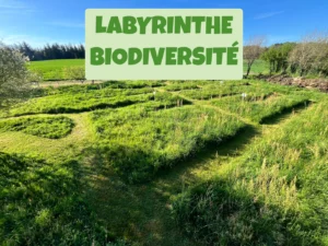 labyrinthe biodiversite