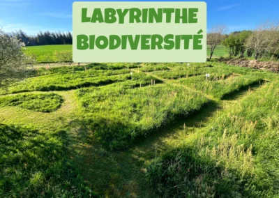 labyrinthe biodiversite